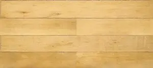 Home Inspectors of Middle Tennessee LLC