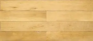 Home Inspectors of Middle Tennessee LLC