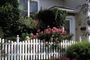 planning for a new fence