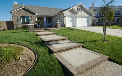 Caring for Young Trees During Summer