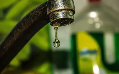 4 Tips to Save Water at Home