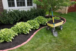 end-of-summer landscaping