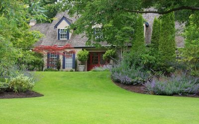 5 Ways to Maintain Your Lawn In the Summer