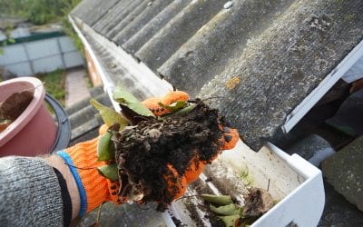 Cleaning Out Your Gutters In 5 Steps