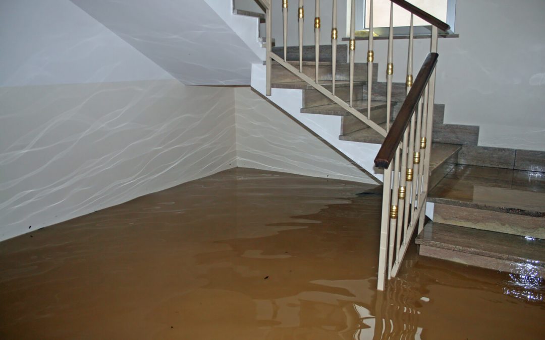 12 Steps for Dealing With Residential Water Damage