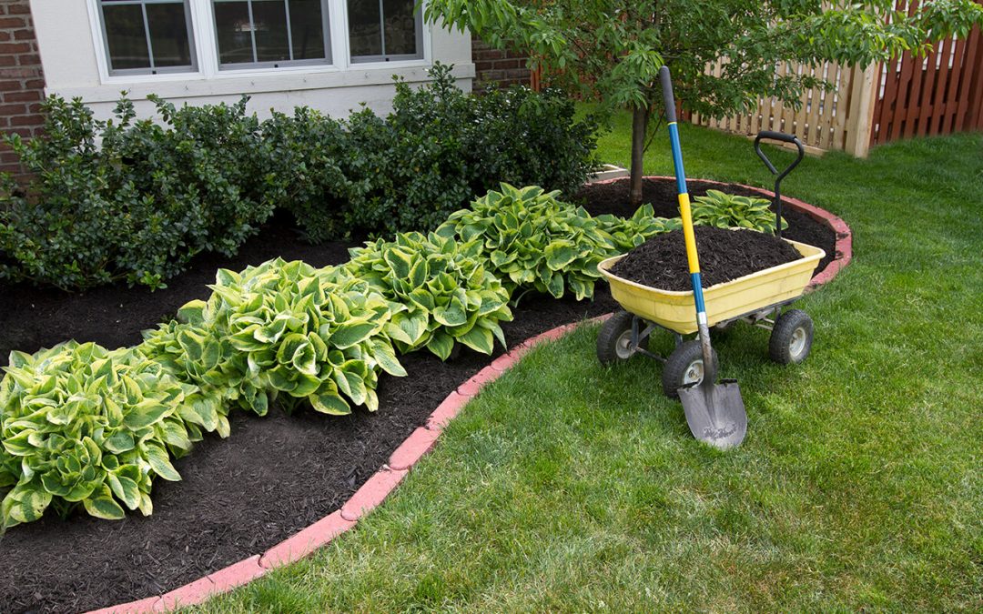 11 Tips for End-of-Summer Landscaping